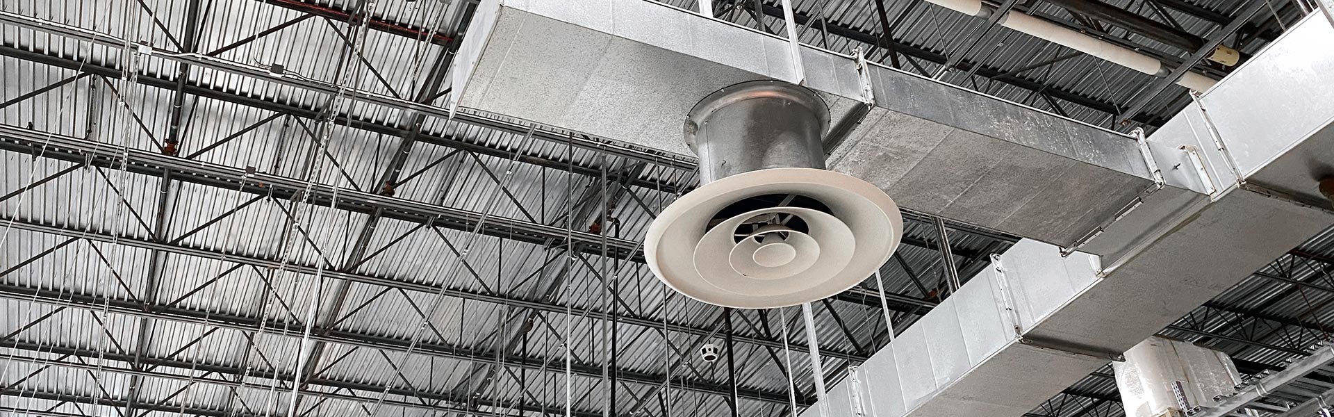 brionic-istock-1825257288